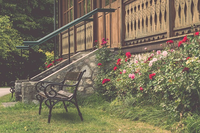 让比赛的节 让比赛的节