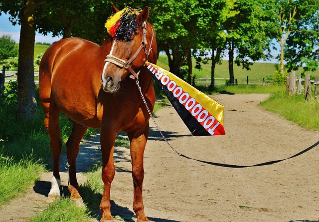 而热火队的 而热火队的