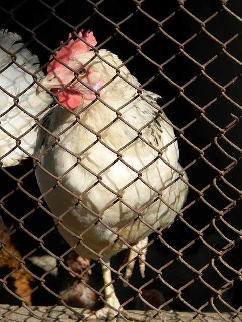 暖热天气 暖热天气