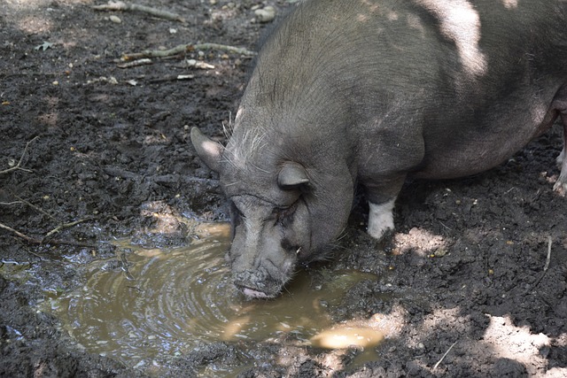 问题提升健 问题提升健