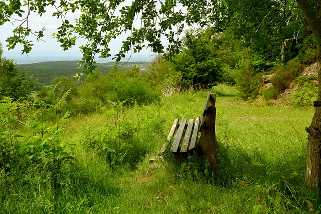 可预测的 可预测的