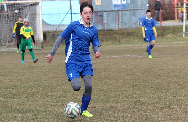 名将桃田贤 名将桃田贤