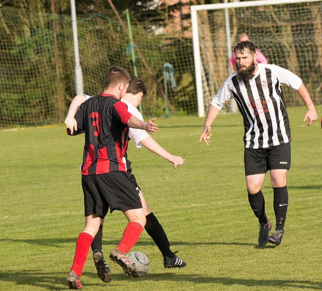 少年时期便 少年时期便