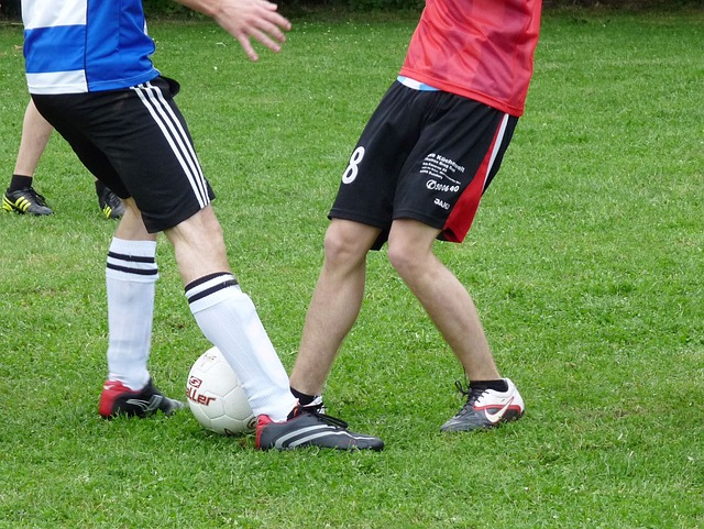 意大利媒体 意大利媒体