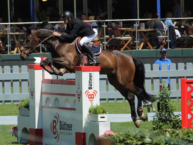 东契奇靠边站！湖人，是三巨头球队.