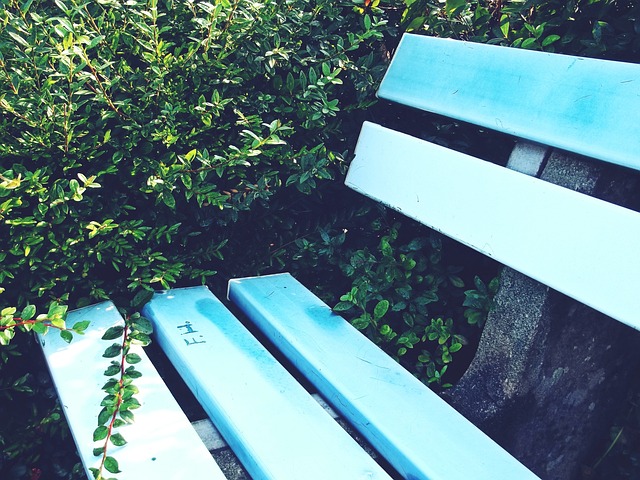 仅反映了当 仅反映了当